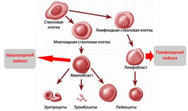 Вход в кракен