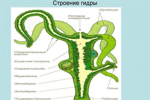 Кракен маркетплейс ссылка